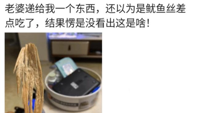 苏月瑾 “老婆递给我的，差点当鱿鱼丝吃了，看了半天也不知道是啥...”