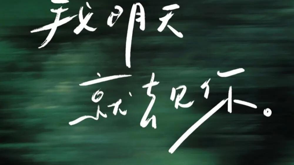 占卜师央央|塔罗牌占卜：“爱的对立面是遗忘”TA把你忘了吗？