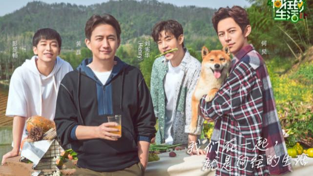 《向往》5季蘑菇屋现状，3处保存尚好，1处被废弃，1处在装修