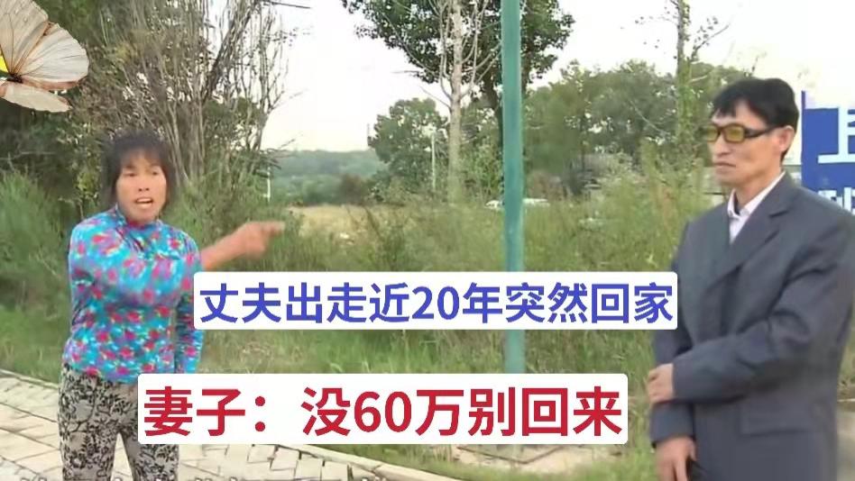 野离离 丈夫离家出走近20年后突然回家，妻子：先给60万，不然别进家门
