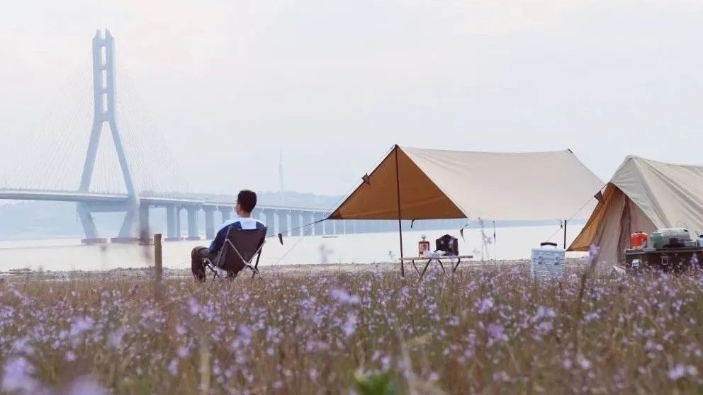 情感路上的你我|妻儿离世4年后，林生斌被骂“人设崩塌”，但我却说不出残忍的话......