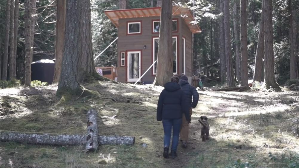 一对夫妇在荒岛上住2年，盖起10㎡蜗居，“离网”的日子简单快乐