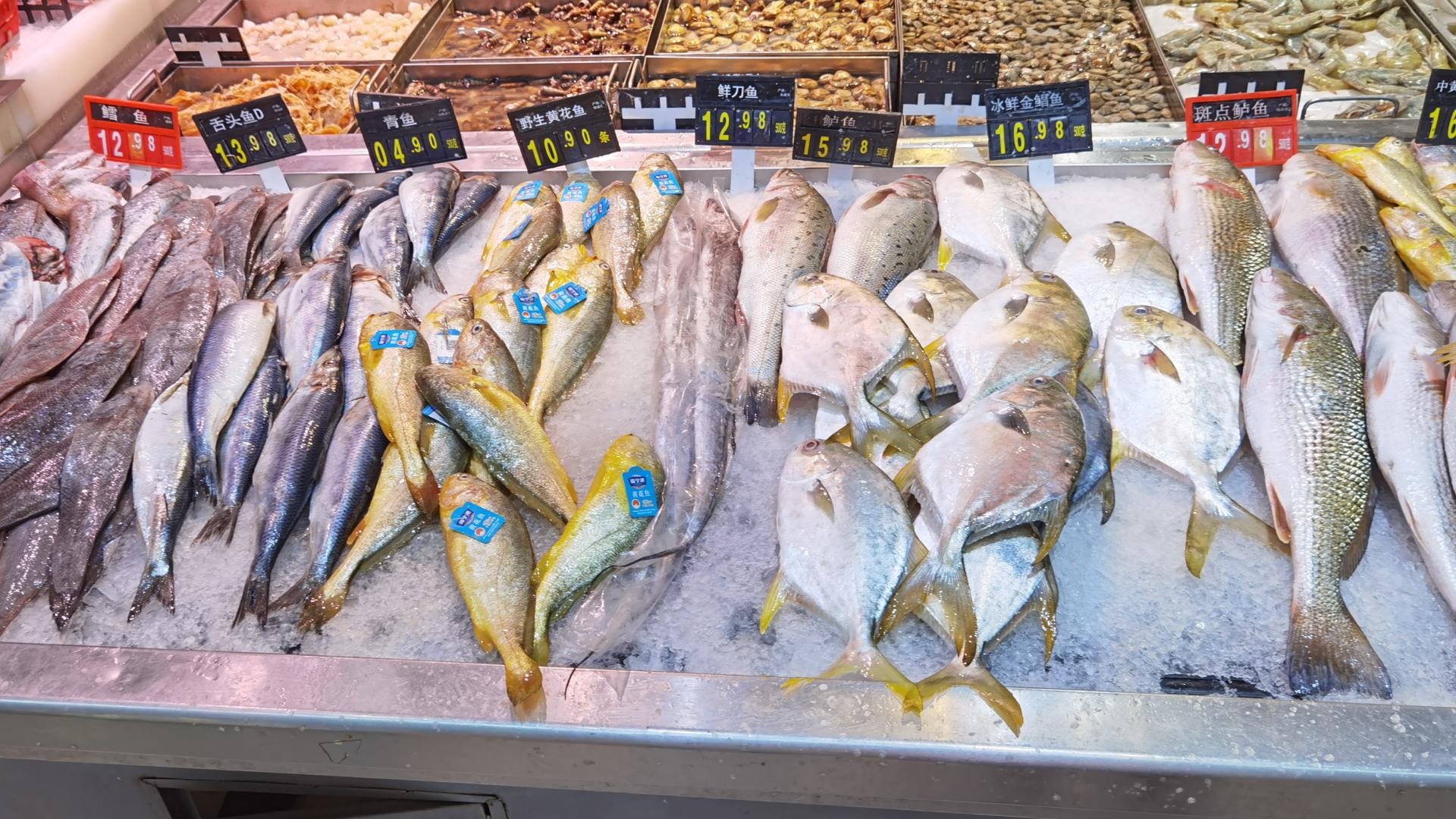 海鱼|入秋后，吃这鱼正当时，比带鱼营养，比鲫鱼鲜，红烧、清蒸都美味