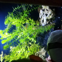 旭日东升宇众不同