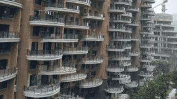 “感觉这个楼盘设计的很奇葩，这要是要串门，还用走门吗？”