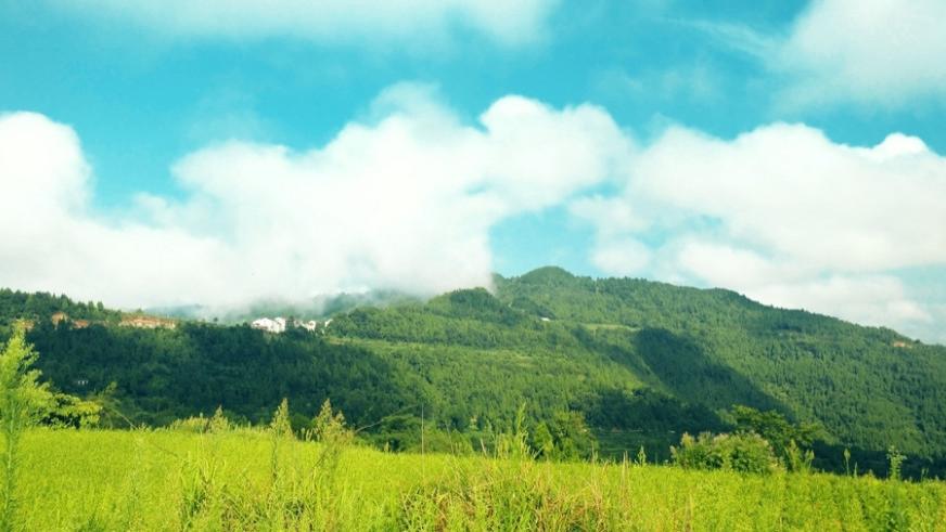 一颗许愿树|三十六岁的儿媳照顾六十八岁瘫痪的公公，孝道在行，感动人心