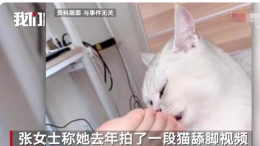 杭州 “泸州老窖事件”大反转，视频女子博同情，家里养的猫很贵