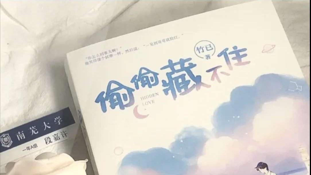 NJ小情绪 小说《偷偷藏不住》也太好看了吧！yyds