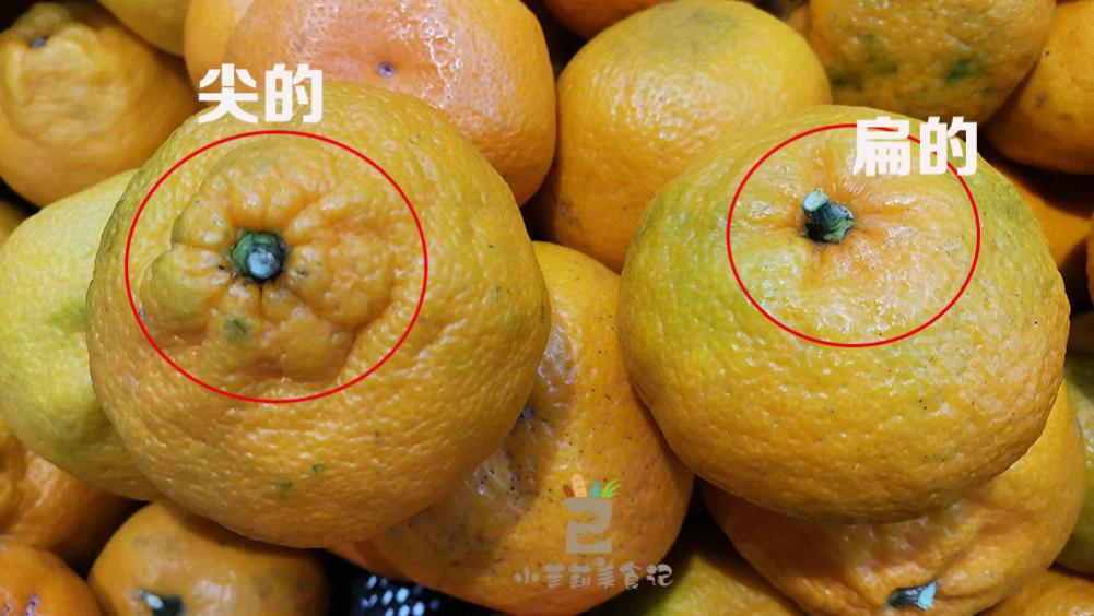 水果|买丑橘，“尖的”和“扁的”区别很大，记住3点，挑到好吃的丑橘
