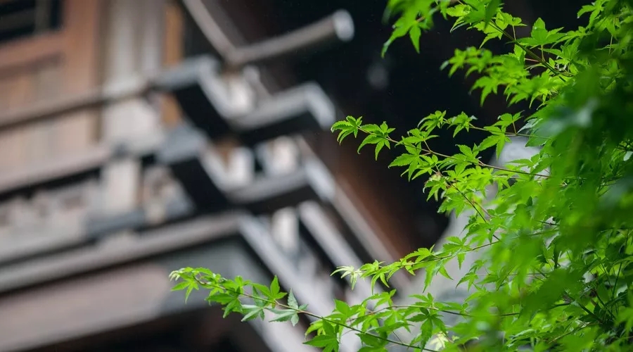 
人心怎么验证？嘴巴说的未必是