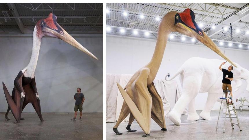鲸鱼 科学家发现了有长颈鹿那么高的巨鸟！5个奇怪的史前生物发现