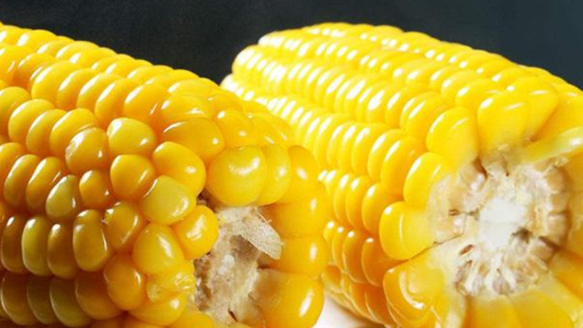 运动|越吃越瘦的5种食物，玉米上榜，榜首很多人不爱吃，1运动来助攻
