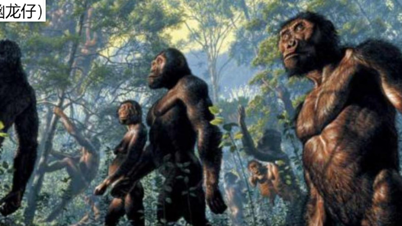 我们的先祖不是北京人而是智人，数万年的“征战”因何反败为胜？