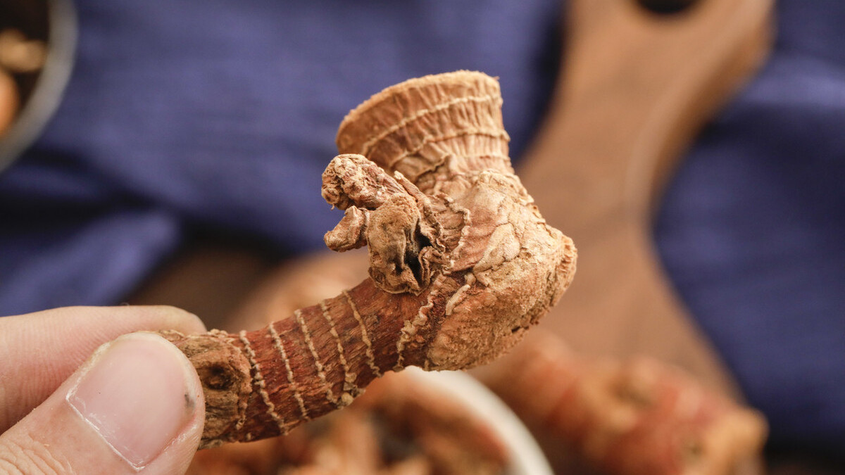 卤水|快过年了，教你“万能卤水”的做法！不管卤鸡还是卤肉，都嘎嘎香