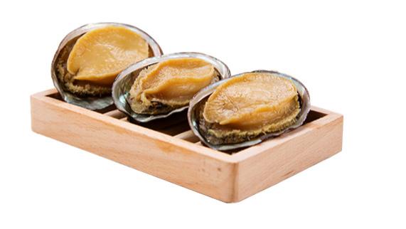 松茸|一种让你胃口大增的即食鲍鱼做法