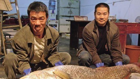 渔民 渔民捕到“天价鱼”卖出347万高价，一夜暴富，是什么鱼呢？