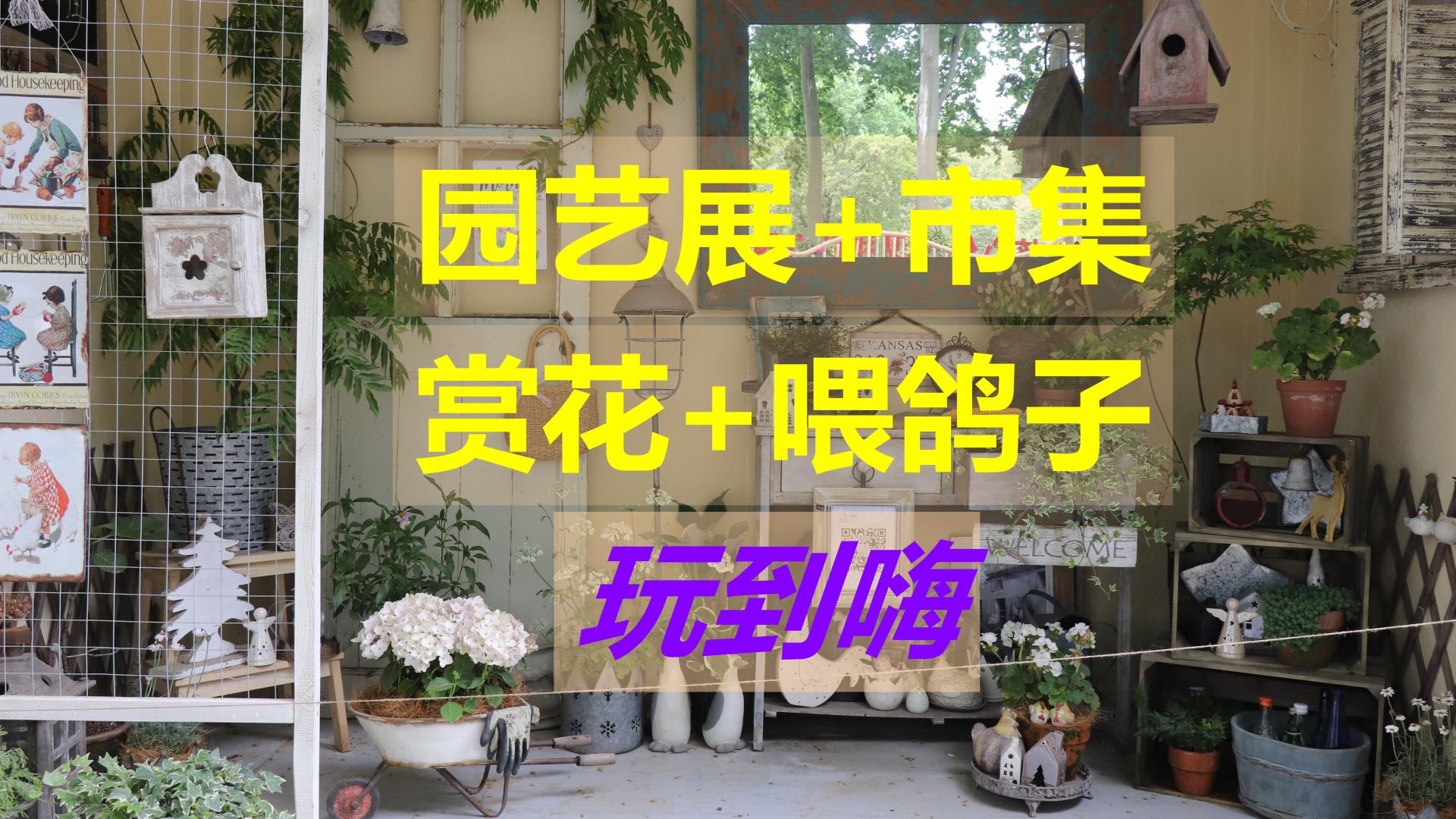 美滋滋！五一打卡武汉解放公园，园艺展+市集+赏花+喂鸽子，一次嗨个够