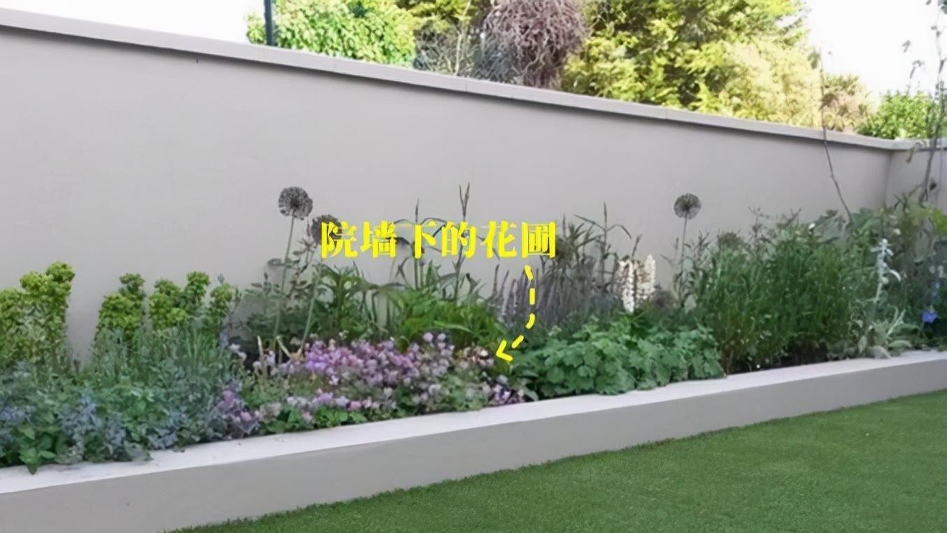 如果我家有个院子，绝对也在院墙下砌个花圃，高40公分精致好打理