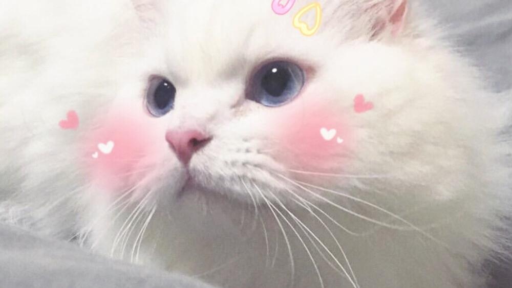 美女才能刷到的减肥文案