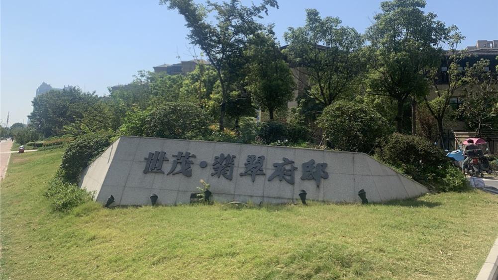 去了一趟他家，更让我坚定攒钱买院子的决心，光看着都是一种享受