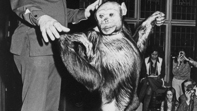 苏联灭绝人性的实验：让人类怀上黑猩猩的孩子？结果令人震撼！