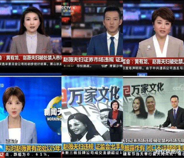 赵薇为什么会被封杀? 赵薇为什么会被封杀?