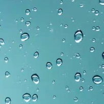 听雨1980