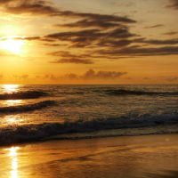 吃喝玩乐的雨晴