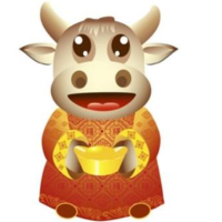 小石头头硬