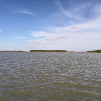 我是一只写稿困难鱼