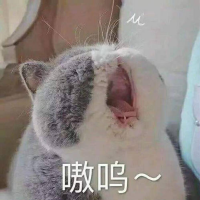 怪兽引力