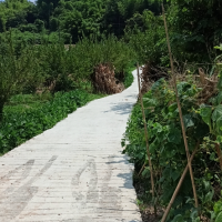 西山李哥