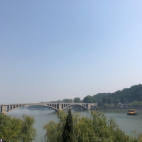 无心插柳柳成荫