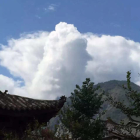 谈情说李