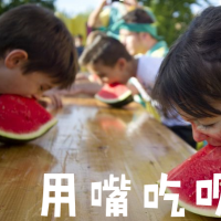 娱乐小道士