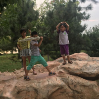 我只负责逗