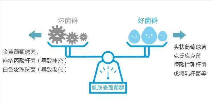 2021 年618 有什么护肤品推荐 考拉海购
