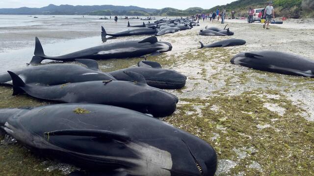 据外媒报道，南海国家印尼突然传