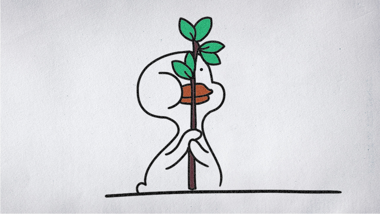 隐身鸭 简笔画怎么画，让我来教你！