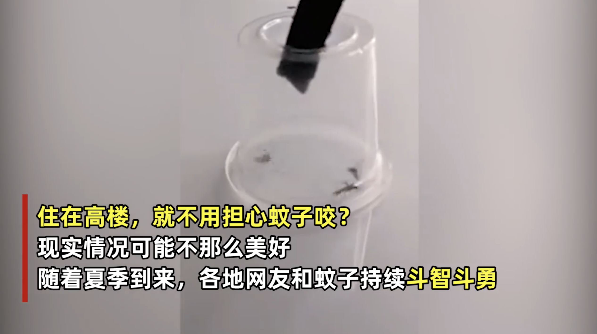 【#住这层楼最受蚊子偏爱# 住