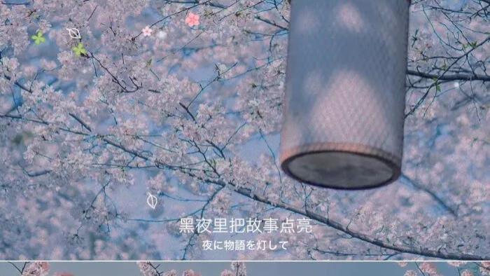 占卜师宓一|塔罗牌占卜：在异性眼中，你是怎样的一个人？