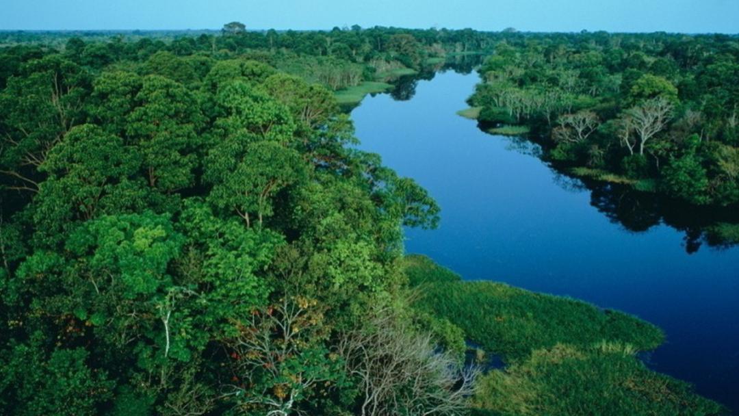 为何人们不敢在亚马逊河中游泳？“可怕”的亚马逊河中有何生物？