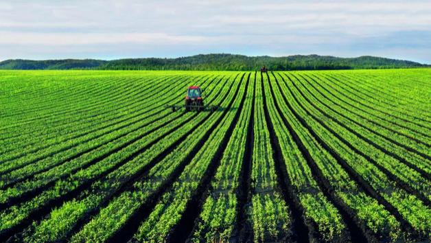 自给率低于50%：日本粮食安全指数，为什么比自给率90%的中国高？