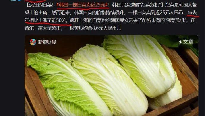 白菜|白菜终于不再是“白菜价”了