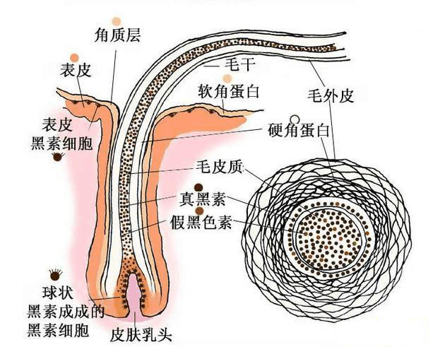 娱乐新闻网