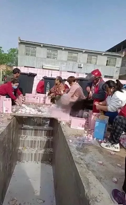 娱乐圈又一丑闻曝光！比郑爽日薪200万更变态的事发生了