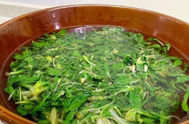 3月,宁可不吃肉也要吃这菜,维A是苹果10倍,用来包饺子太香了 3月,宁可不吃肉也要吃这菜,维A是苹果10倍,用来包饺子太香了