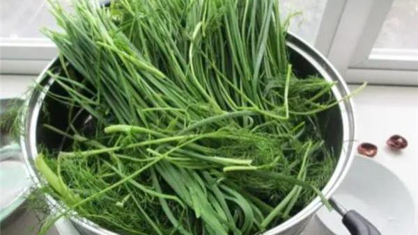 蔬菜|这菜在北方混得风生水起，在南方因味道太重被冷落，待遇差距好大