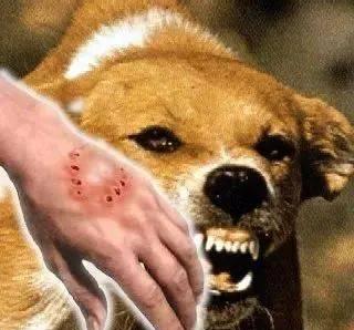 早游戏