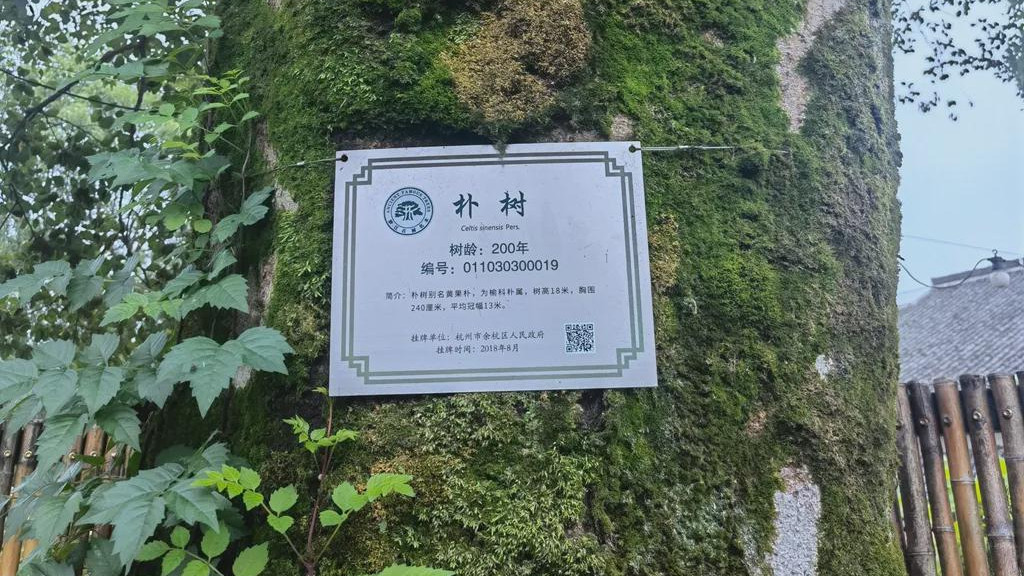 丑故事|台风天，我把生病的儿子独自留在家里，去见一群人